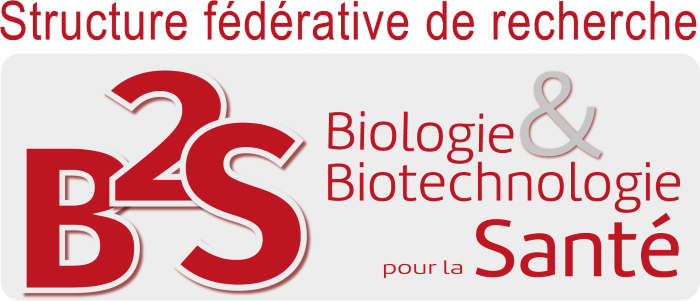 SFR-B2S